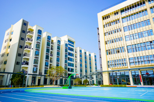 深圳市中新中学